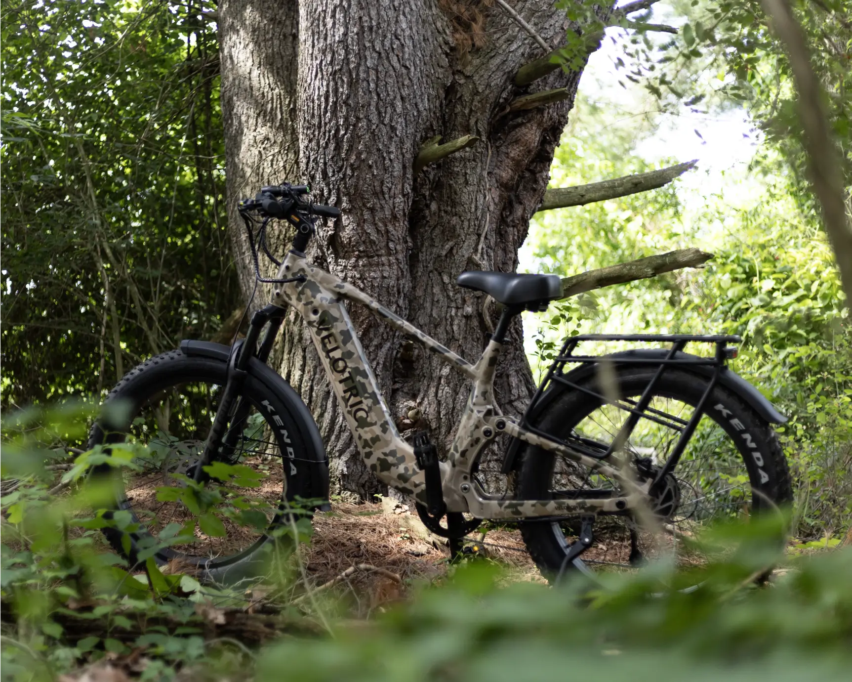 The Velotric Nomad 2X fat tire eBike from Velotric rests against a tree in a lush, green forest setting.