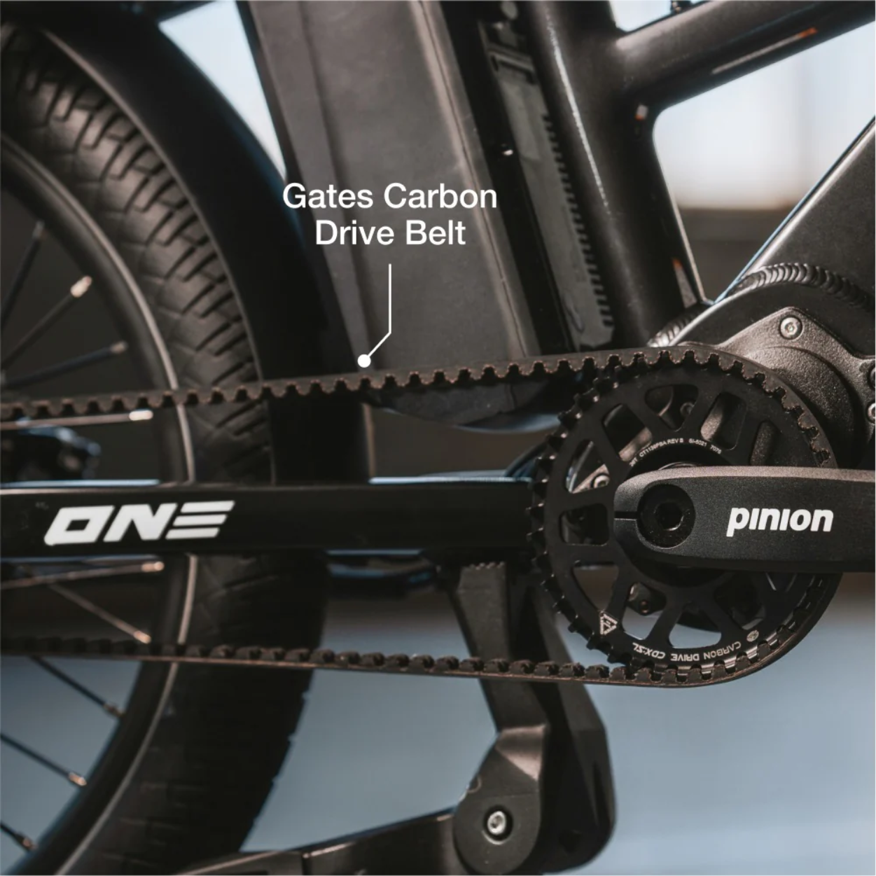 Close-up of the Lectric - ONE bicycle drivetrain by Lectric, featuring the Gates Carbon Drive Belt and Pinion gear system, with part of the rear wheel and frame visible.
