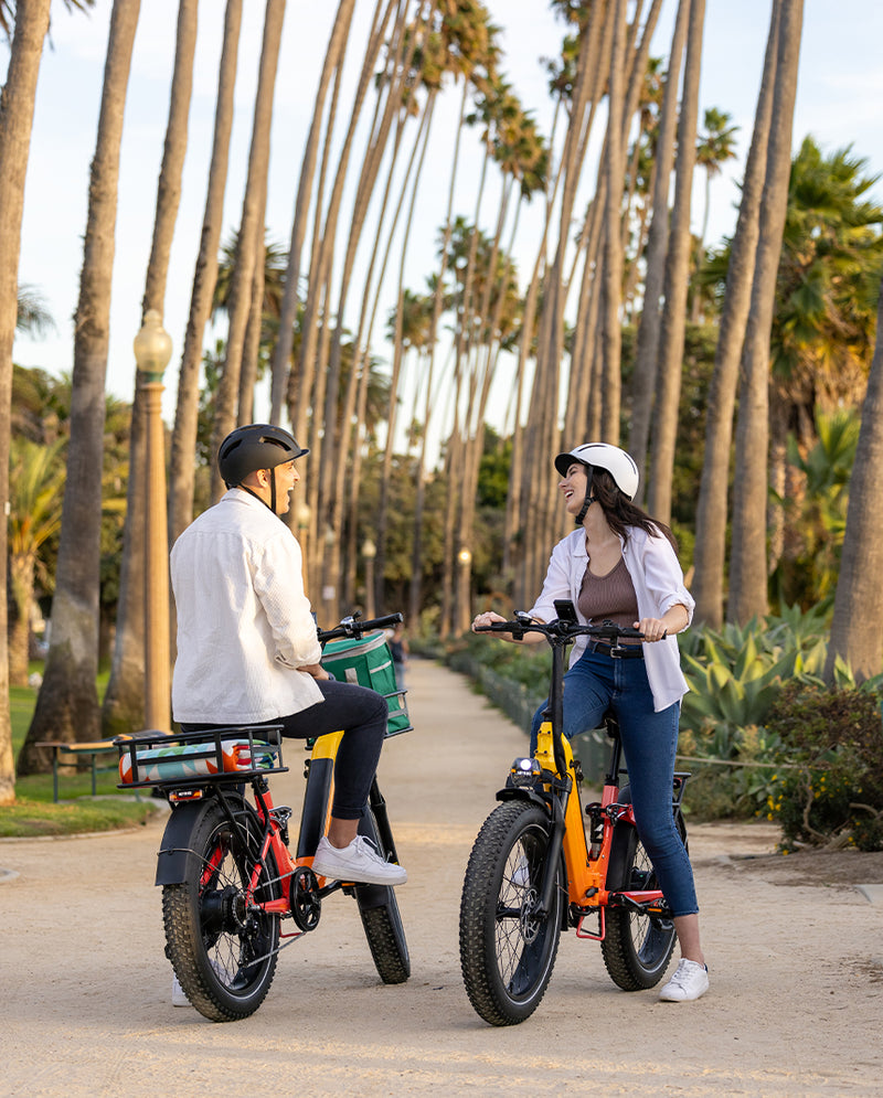 Two people wearing helmets standing and conversing between colorful HeyBike - Horizon electric bikes with hydraulic disc brakes on a palm-lined pathway.