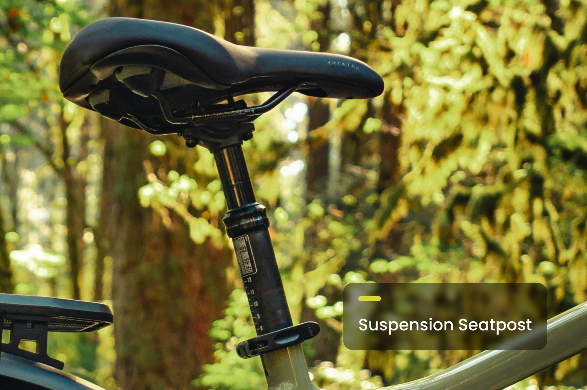 A close-up of the Aventon Aventure 3 eBike saddle and suspension seatpost, labeled "Suspension Seatpost," set against a forest background. Available at Tampa Bay eBikes.