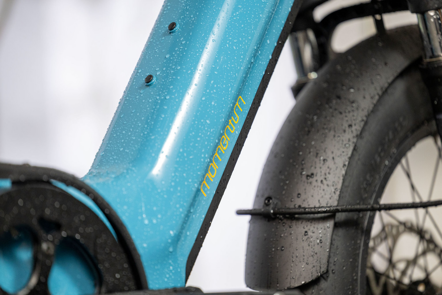 Close-up of a blue Tampa Bay eBikes bicycle frame labeled "Momentum - Cito E+" with raindrops, focusing on the front fender and part of the wheel.