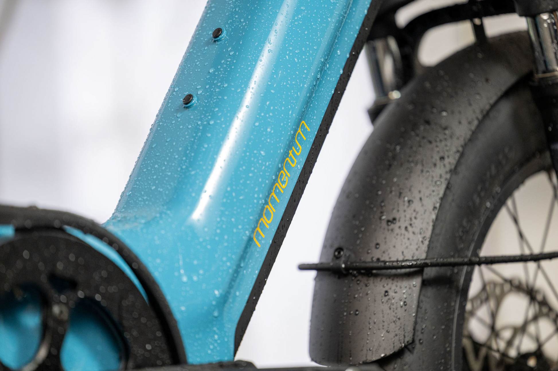 Close-up of a blue Tampa Bay eBikes bicycle frame labeled "Momentum - Cito E+" with raindrops, focusing on the front fender and part of the wheel.