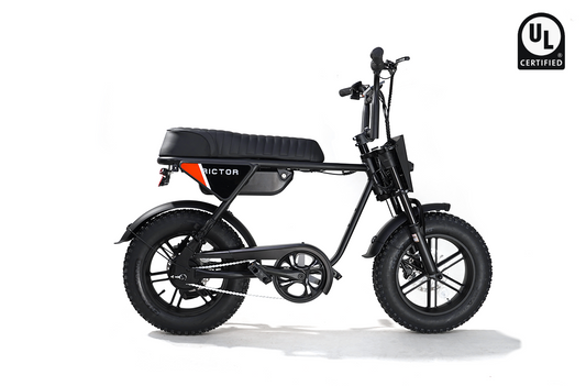 Side view of a black Rictor - Flexx moped-style e-bike with thick tires, padded seat, and "Rictor" logo on the frame. A "UL Certified" badge is in the top right. Features a 750W peak motor for powerful performance.