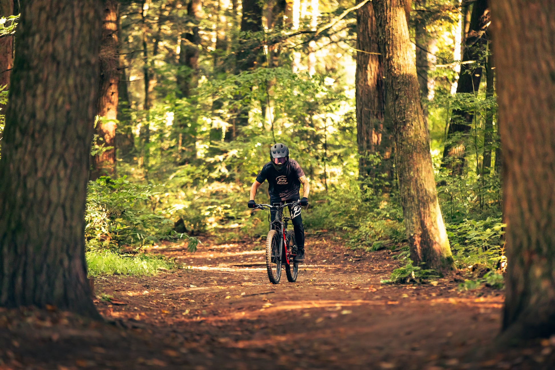 A person wearing a helmet rides an LMX - 64 mountain bike with pedal assistance on a dirt trail through a dense, sunlit forest.