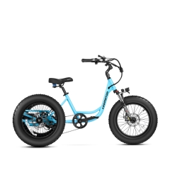 The Addmotor LANDTAN M-300 features a powerful 750W rear motor and an Addmotor battery, offering excellent stability with its robust black tires. Its lightweight frame incorporates a step-through design, and it is equipped with a comfortable black seat and sturdy handlebars.