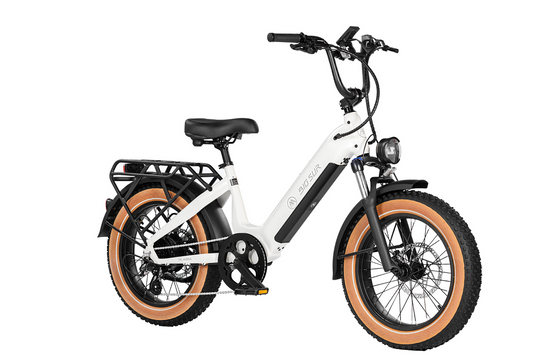 A powerful AIMA - Big Sur Sport e-bike with fat tires on a white background.