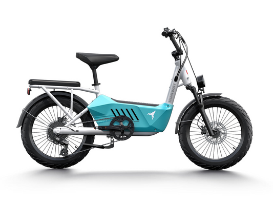 Himiway - C3 electric bicycle with a teal frame and a 750W brushless gear motor on a white background.