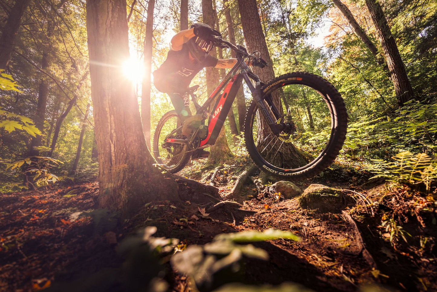 A person wearing a helmet rides an LMX - 64 with pedal assistance up a rocky, sunlit trail in a dense forest, with rays of sunlight filtering through the trees.