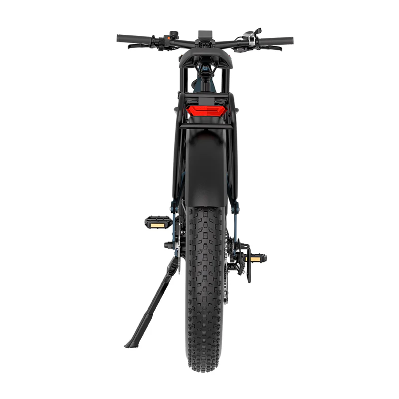 A front view of the Hiboy EX11 electric bike by Hiboy, featuring a 750W motor, wide off-road tires, black frame, upright handlebars, and rear light against a white background.