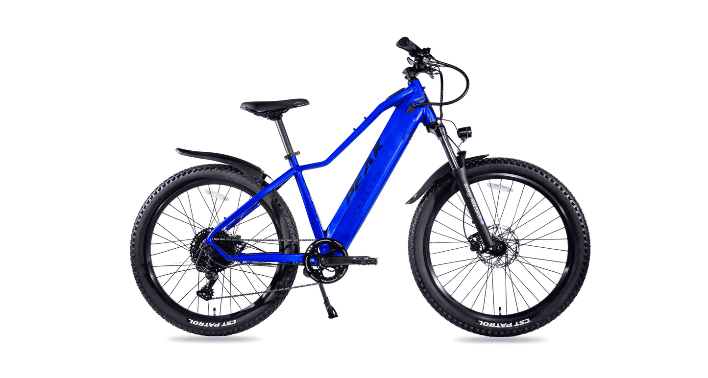 The Magnum Peak 2.0 by Magnum features front suspension, fat tires, a torque sensor, disc brakes, and a rear fender, displayed in bold blue from the side against a white background.