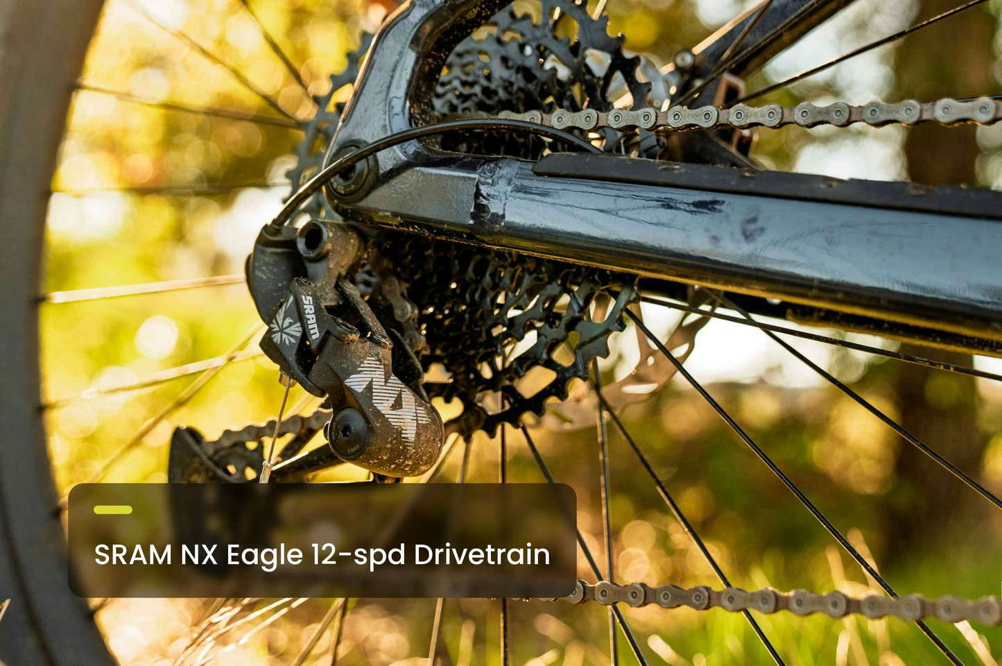 Close-up of the Aventon Ramblas ADV electric mountain bike’s rear derailleur and cassette, featuring a SRAM NX Eagle 12-speed drivetrain, outdoors in sunlight with greenery in the background.