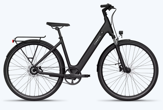 A modern black Tenways electric bike with a rear cargo rack, displayed on a white background.