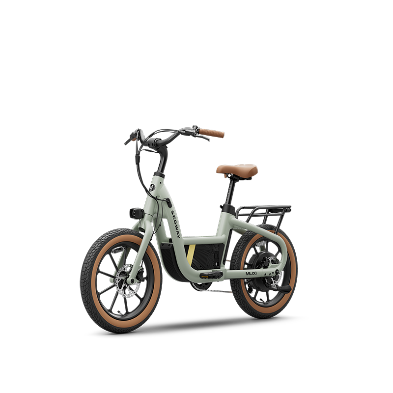 A Segway Muxi electric utility bike by Segway, featuring a light green frame, brown seat and handlebars, thick tires, rear cargo rack, and 750W eBike power, is shown against a plain white background.