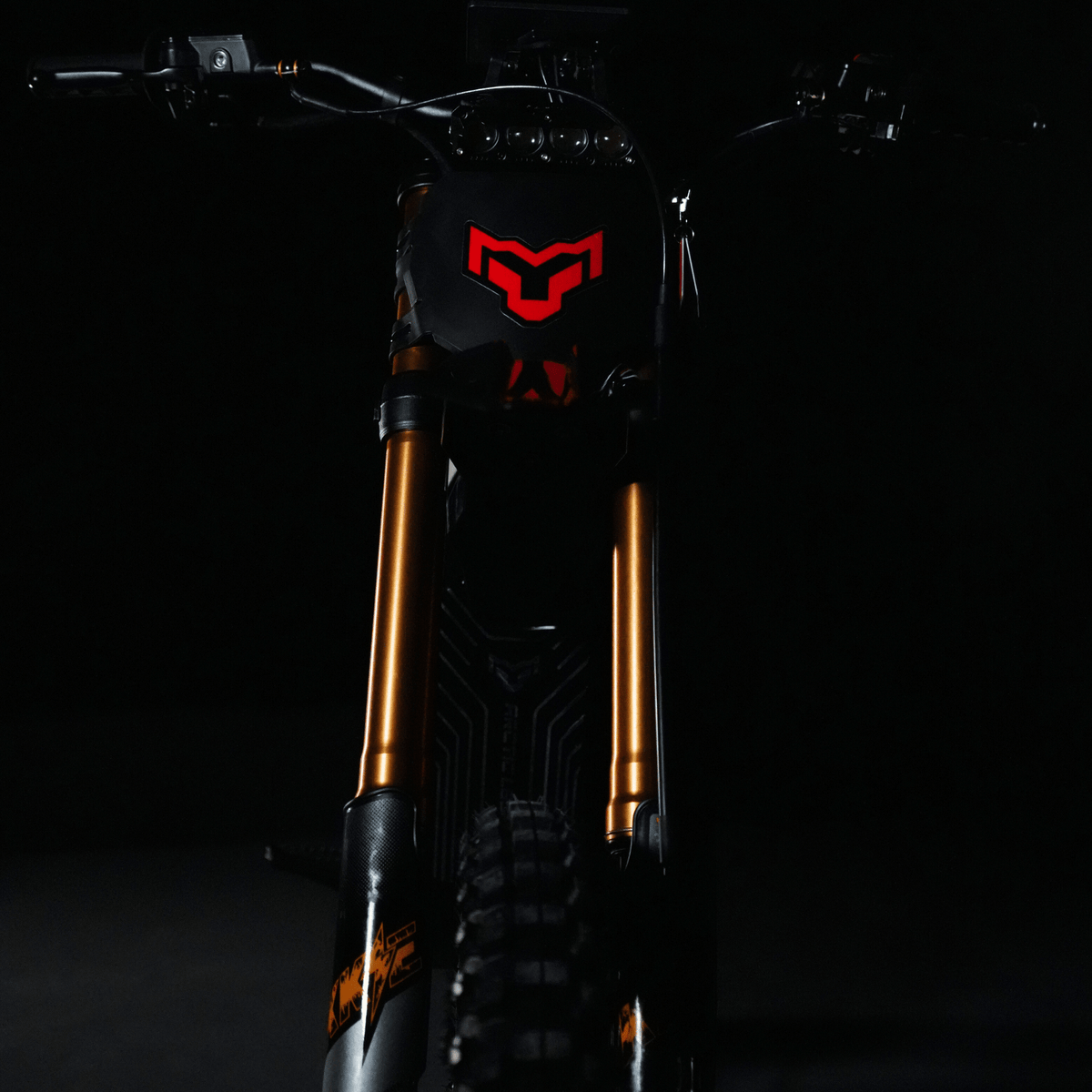 Arctic Leopard XF Electric Dirt Bike product photo 19