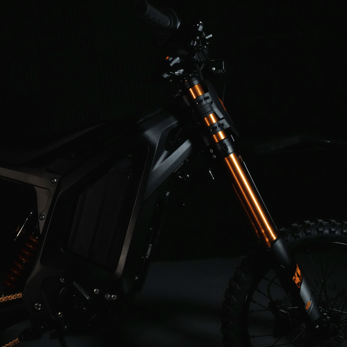 Arctic Leopard XF Electric Dirt Bike product photo 14