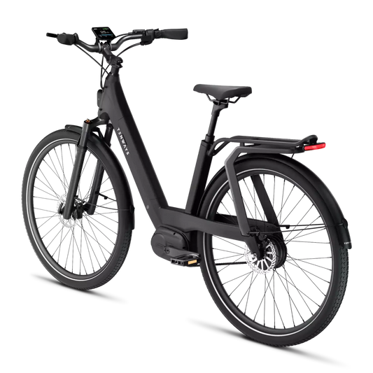 Tenways AGO T electric bicycle with a mid-drive motor and front and rear disc brakes, parked on a transparent horizontal line background.