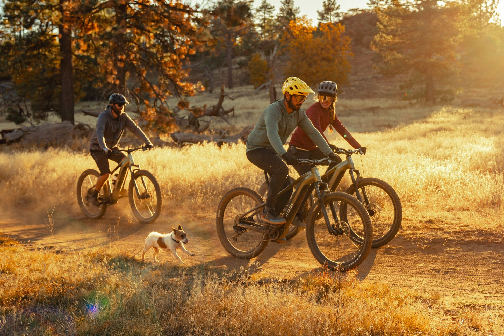 Three mountain bikers and a small dog riding through a forest trail at sunset, one of them on an Aventon Ramblas eMTB with a mid-drive motor.