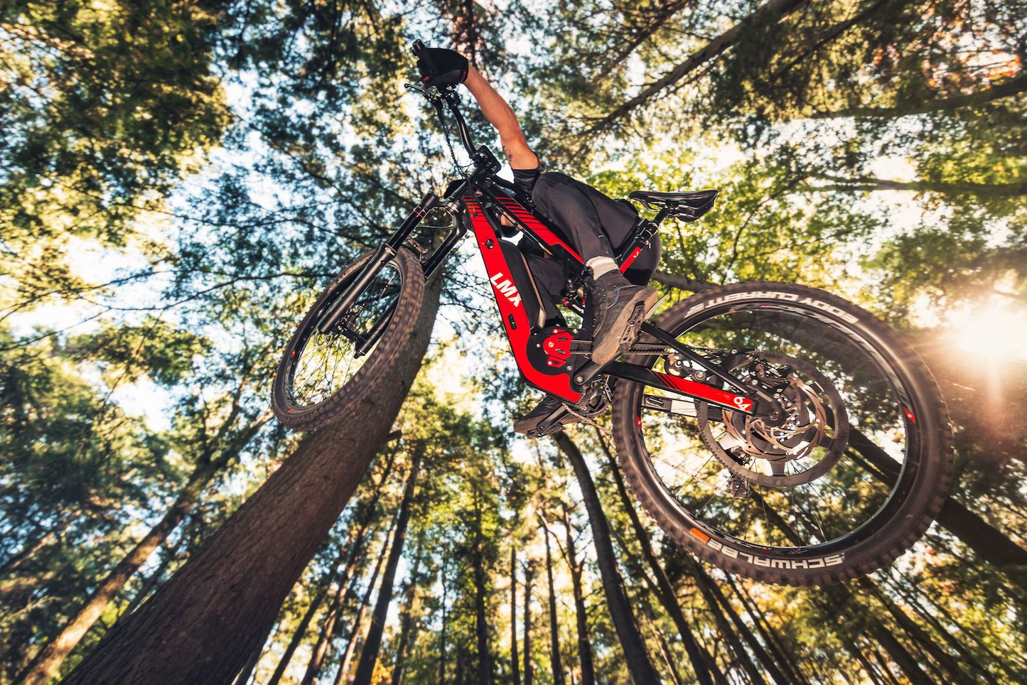 A person on an LMX - 64 with pedal assistance is performing a high jump among tall trees with sunlight filtering through the foliage.