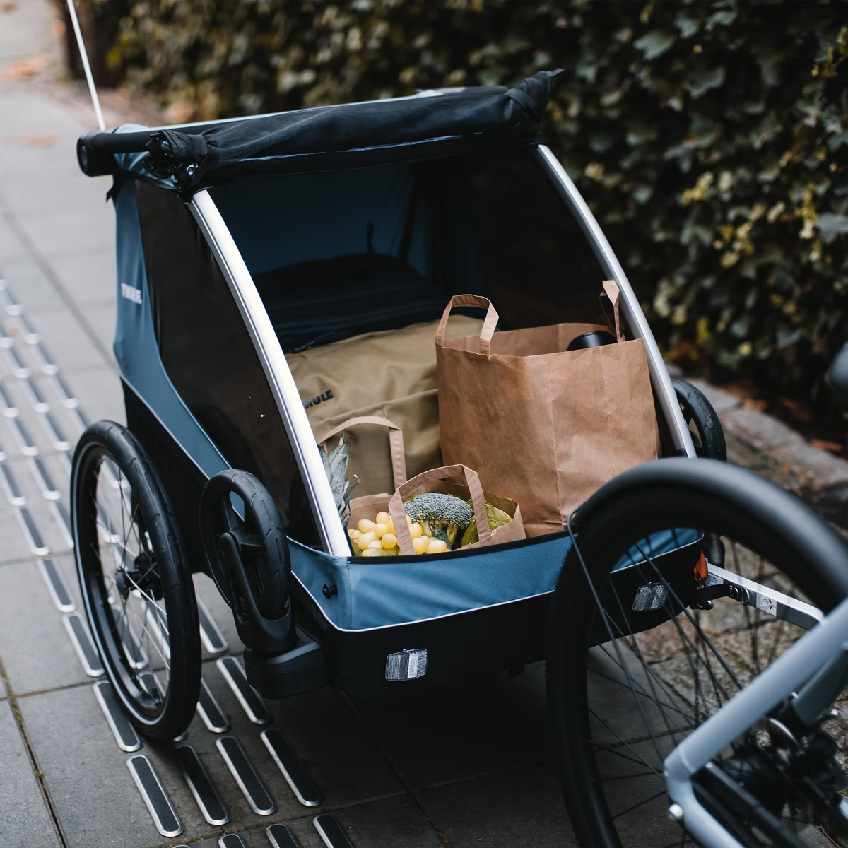 A blue Thule Courier Child Trailer filled with grocery bags, including a paper bag and a canvas bag, sits on the sidewalk next to a hedge. Perfect for family outings!