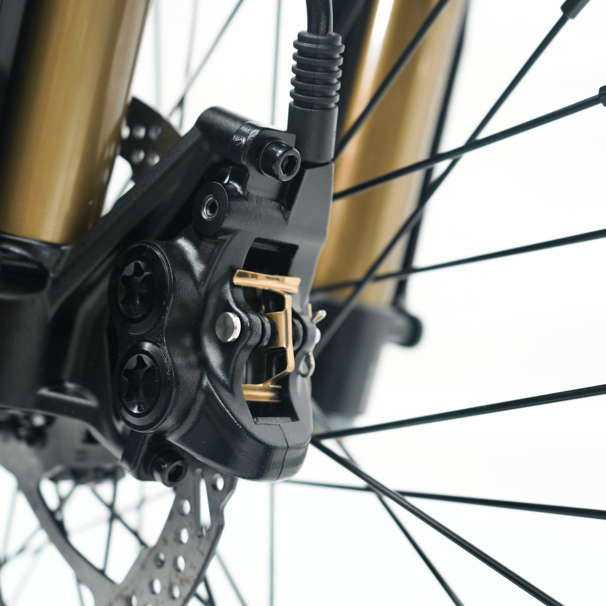 Ventus V1+ EVO electric dirt bike, front brake caliper detail