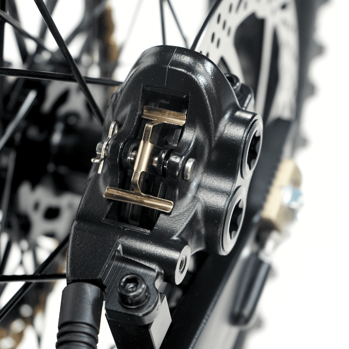 Ventus V1+ EVO electric dirt bike, rear brake caliper detail